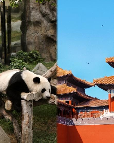 China Golden Triangle & Chengdu Imperial Heritage, Ancient Wonders and Local Life